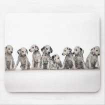 dalmation mouse pad mousepads
