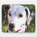 dalmation mousepads