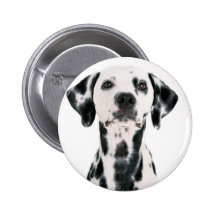 Dalmation Pinback Buttons