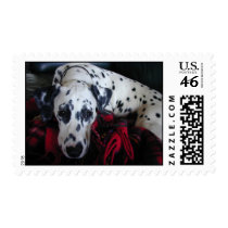 Dalmation Postage postage
