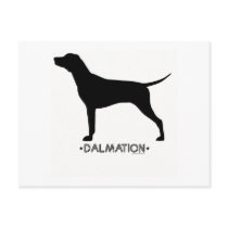 Dalmation Postcard