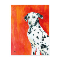 Dalmation Postcard by mozache Dalmation Postcard