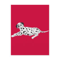 Dalmation Pup postcards