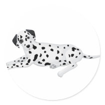 Dalmation Pup stickers by Dogshoppe Dalmation Pup stickers