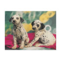 Dalmation Puppies postcards by White_Wedding Dalmation Puppies postcards
