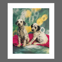 Dalmation Puppies Poster posters