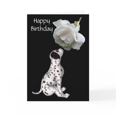 Dalmation Puppy And White Rose Birthday Card by SmilinEyesTreasures
