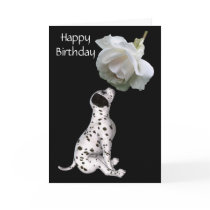 Dalmation Puppy And White Rose Birthday Card by SmilinEyesTreasures Dalmation Puppy And White Rose Birthday Card