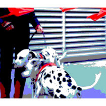Dalmations in Red at Parade t-shirts by danagraves Dalmations in Red at Parade t-shirts
