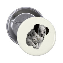 DALMATIONS PINBACK BUTTON
