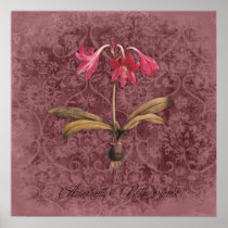 Damask Amaryllis Belladonna Print