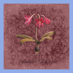 Damask Amaryllis Belladonna posters