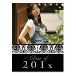 Damask Graduation Announcement (black/white) Post Cards