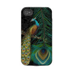 Damask Peacock & Feather You Choose Color Iphone 4 Tough Cases