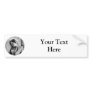 Dame Ellen Terry ~ 1864 Shakespearean Actress Bumper Sticker