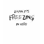 DAMN, IT'S FREEZING IN HERE T SHIRT