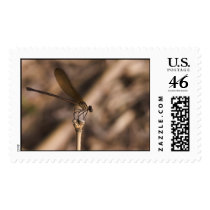 damsel on top postage by blacqbook damsel on top postage