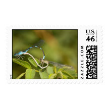 Damselflies Mating Stamp