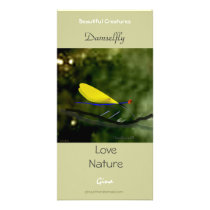 Damselfly photo cards
