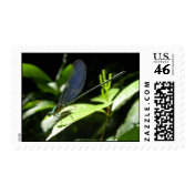 Damselfly Postage Stamp