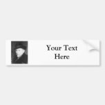 Dan Beard Famous American Writer Bumper Stickers