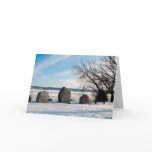 Dan Fogelberg Memorial in Winter Card