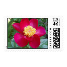 Dana's Peony Stamp