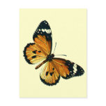 Danaus chrysippus post card
