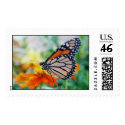 Danaus Plexippus II - Stamp