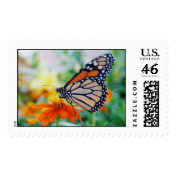 Danaus Plexippus II - Stamp