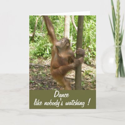 birthday cards and quotes. Animal Lover irthday card by