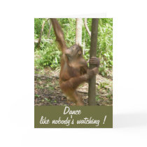 Dance!  Animal Lover birthday card