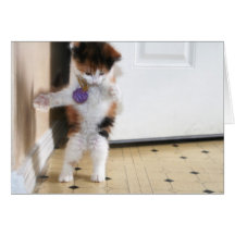 Dance Greeting Cards