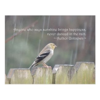 Dance in the Rain Goldfinch Postcard