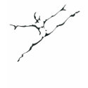 Dance Logo t-shirts by mymusearts Dance Logo t-shirts
