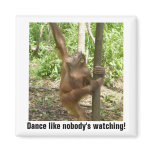 Dance  magnet