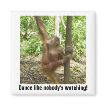 Dance  magnet