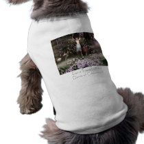 Dance of Celebration pet clothing