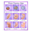 Dance of Life posters
