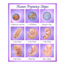 Dance of Life posters by Spice Dance of Life posters
