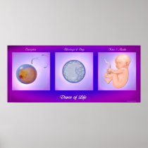Dance Of Life posters