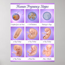 Dance Of Life Pregnancy Art posters