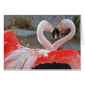 Dance of Love cards by beverlytazangel Dance of Love cards