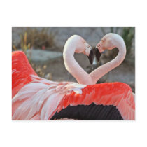 Dance of Love postcards by beverlytazangel Dance of Love postcards