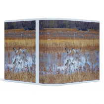 Dance of Sandhill Cranes Avery Binder
