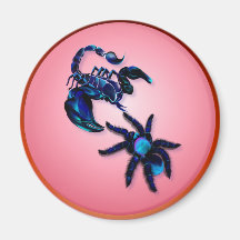 Dance Of The Arachnids Magnets