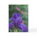 Dance of the Purple Iris Greeting Card