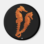 Dance Of The Seahorses (Orange) Refrigerator Magnets