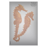 Dance Of The Seahorses (Orange) Customized Stationery