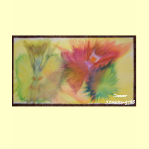 Dancer, Dancer S.Bracha~5768 t-shirts